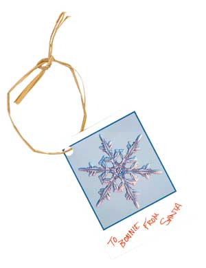 Bonnie Storey created DIY gift tags out of the December 2005/January 2006 issue of MOTHER EARTH NEWS.